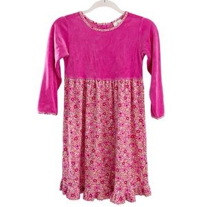 Hanna Andersson Velour Super Soft Floral Ruffle Dress